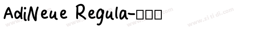 AdiNeue Regula字体转换
